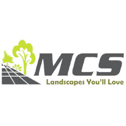 logo 323 1819759245