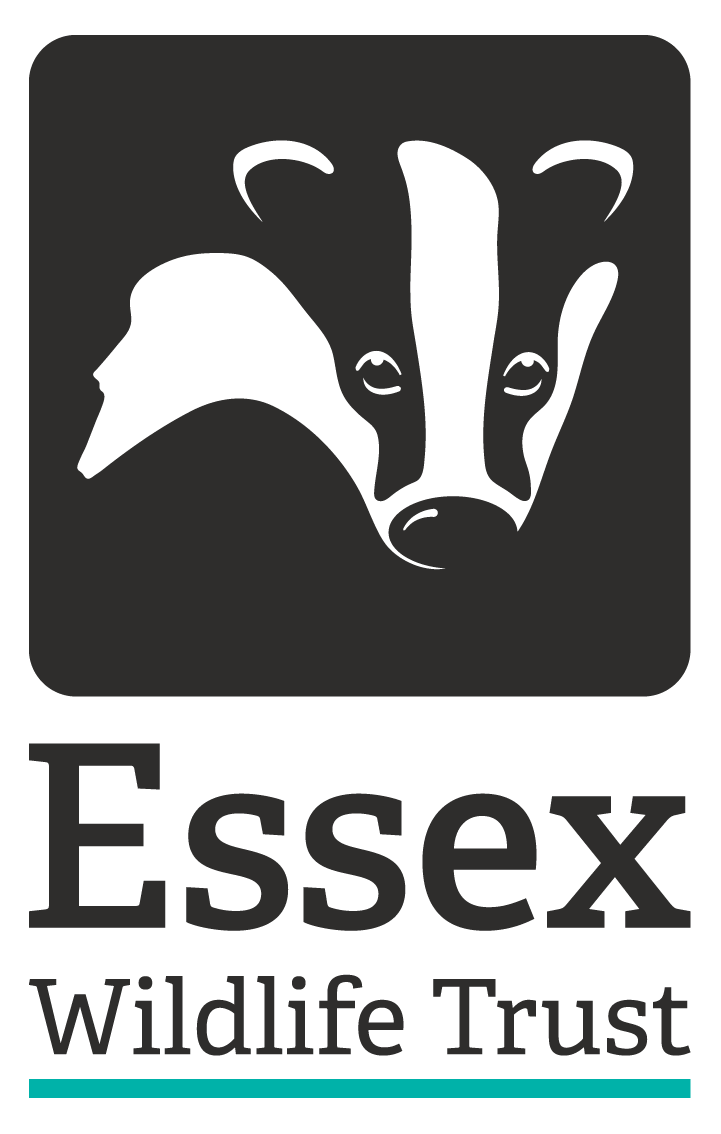 logo 340 115478510