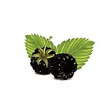 logo 362 1914957802