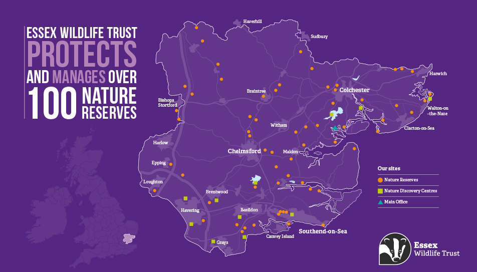 Securing a Wilder Essex – Empowering communities to protect and rejuvenate the natural biodiversity of Essex
