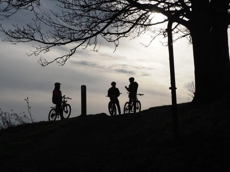 Hadleigh Park and the Olympic Legacy