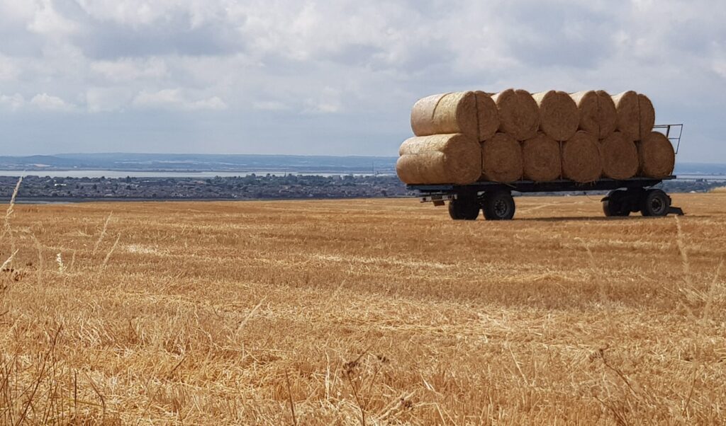 Threatened Development of Green Belt