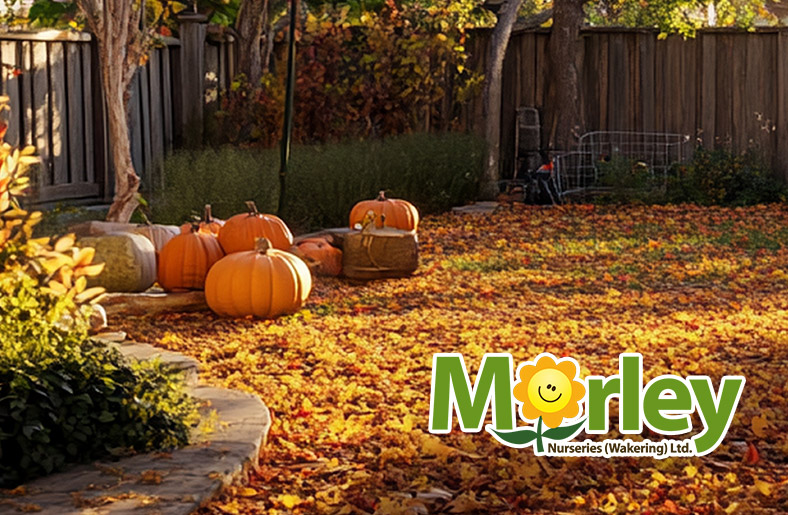 Hints and ideas for your Garden in October