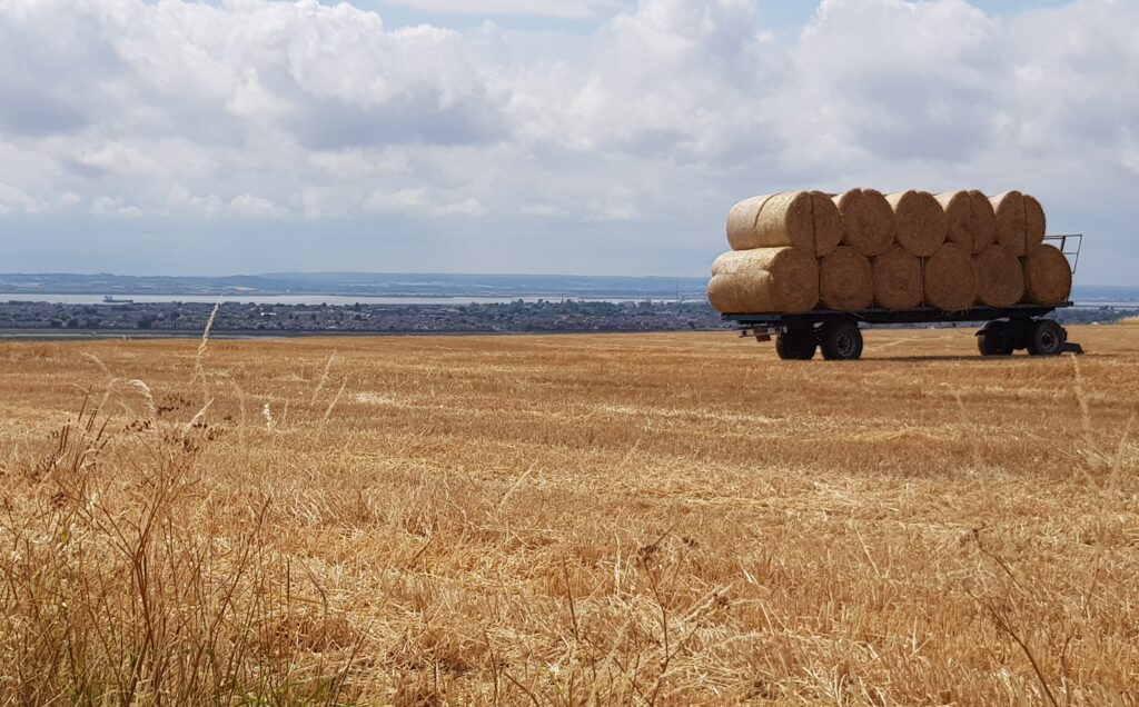 Building on Pristine Greenbelt Farmland