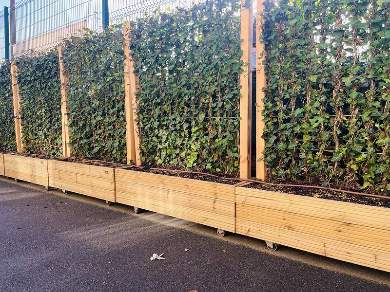 Southend expands school air quality project to final five schools