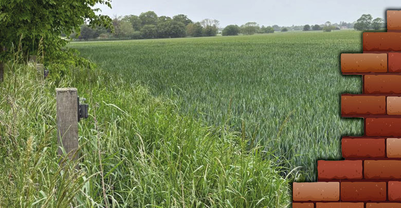 Residents Fighting to Save Our Last Piece of Green Belt.