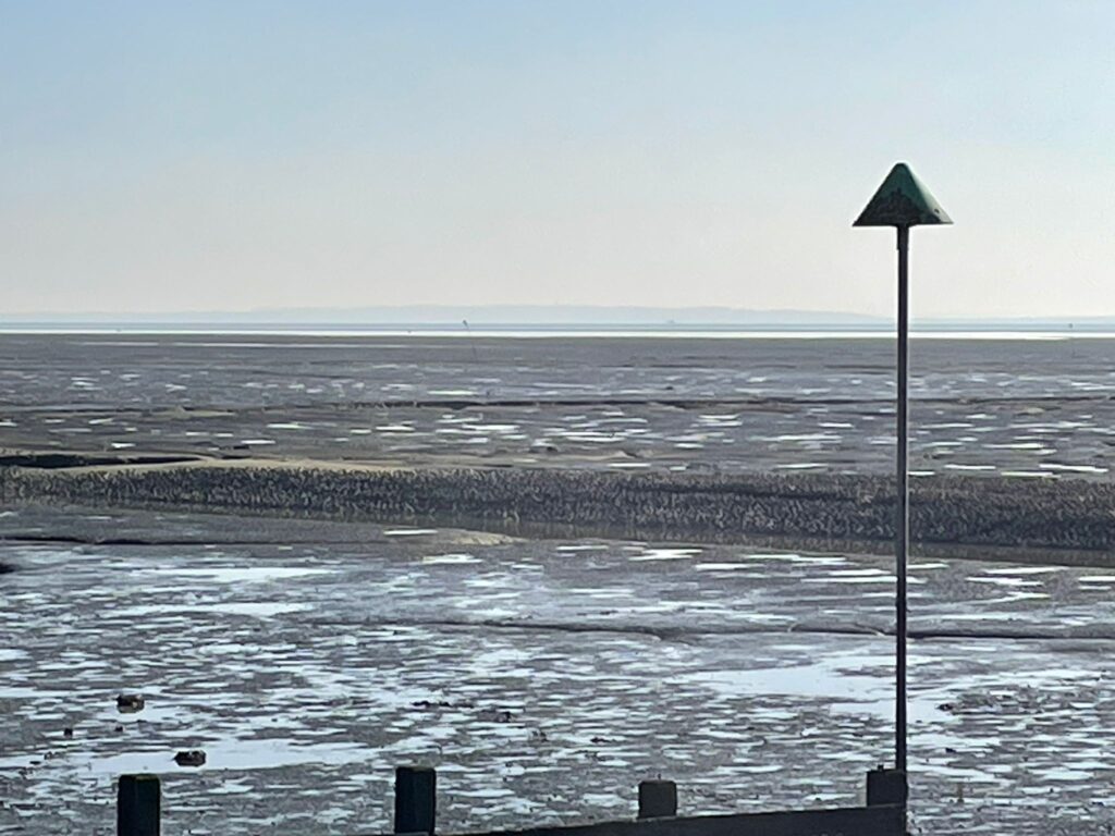 See Life: Southend’s Overlooked Countryside