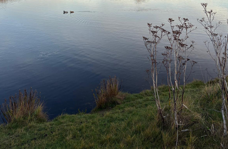 Dirty Business and the Reality of Britain’s Water Crisis!