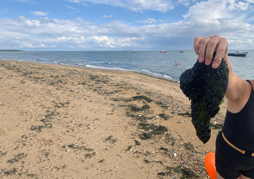 The Bitumen Spills That Reached Our Shores