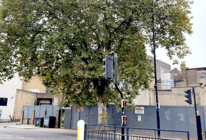 Save Chester: The Fight Continues